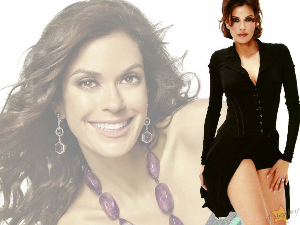 Teri Hatcher - Gallery Photo