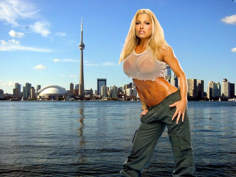 http://www.rexwallpapers.com/images/wallpapers/celebs/trish-stratus/trish_stratus_5.jpg