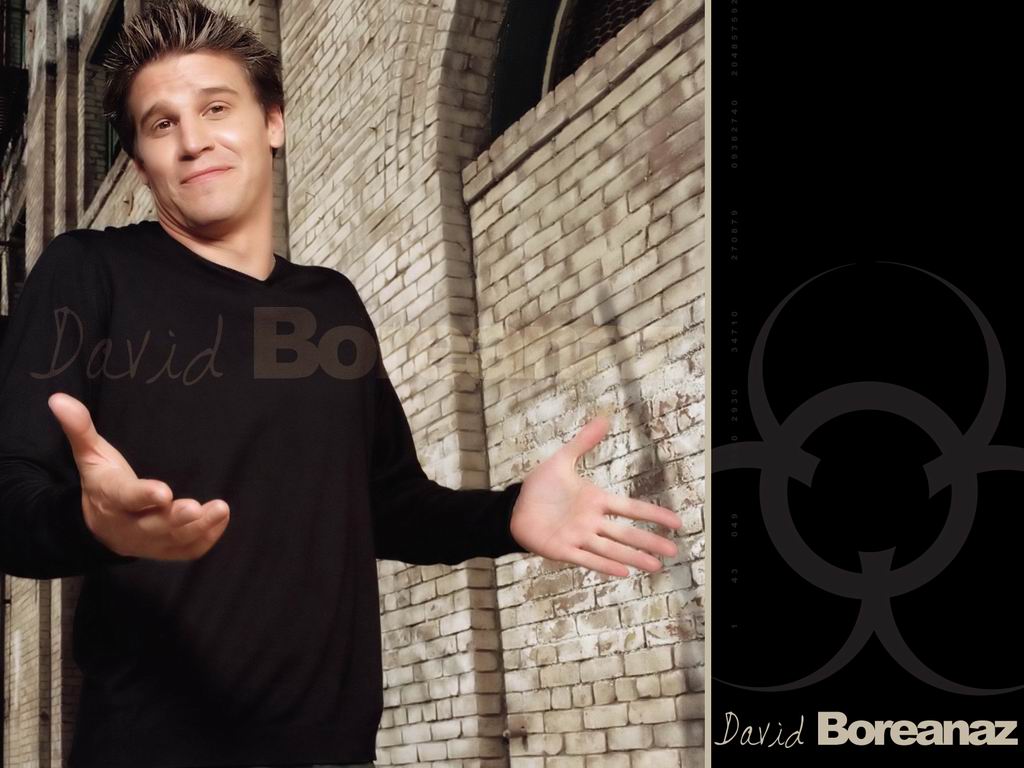 David Boreanaz Wallpapers David Boreanaz Wallpapers