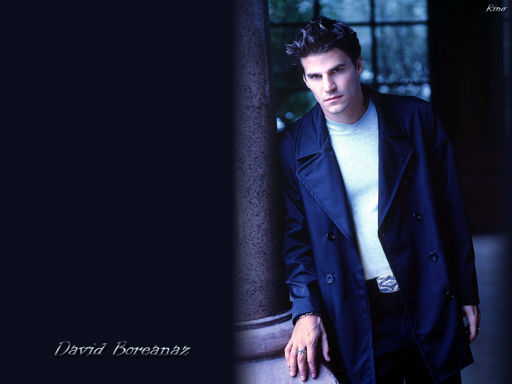 David boreanaz 3