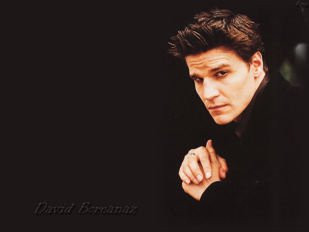 david boreanaz hot