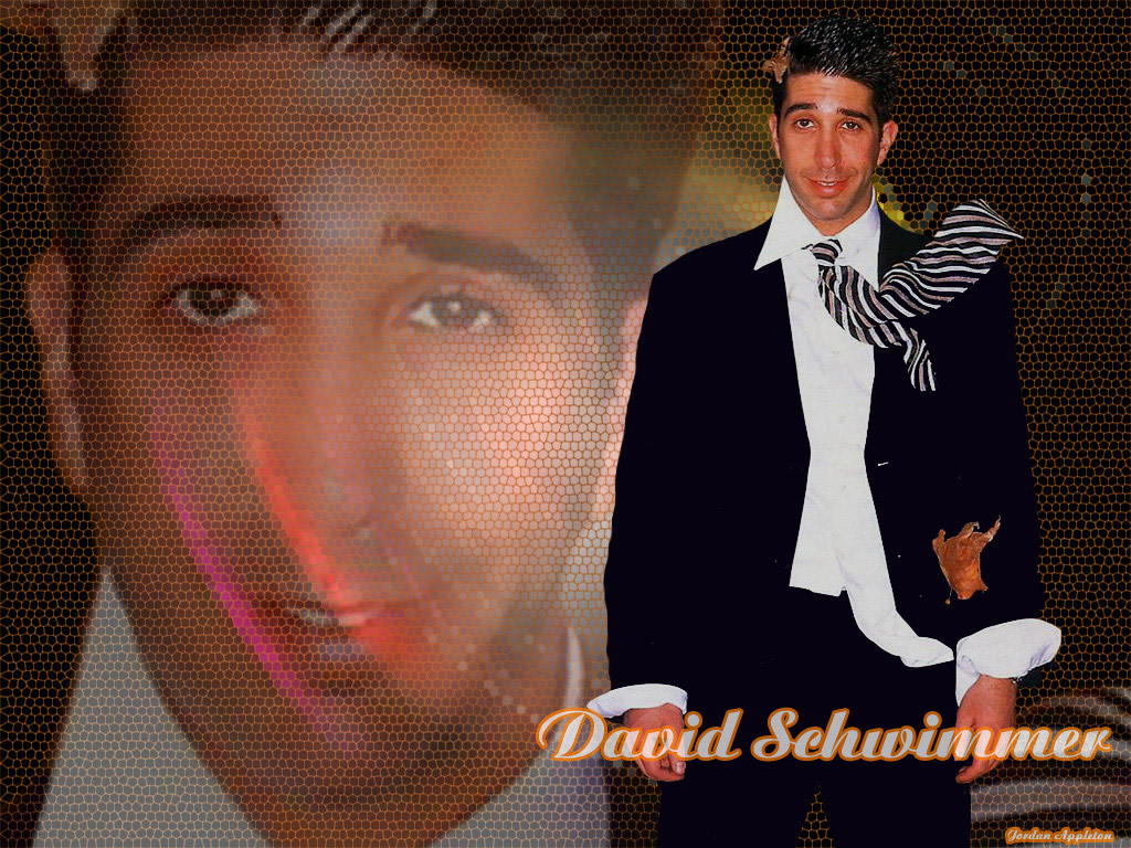 David schwimmer 1