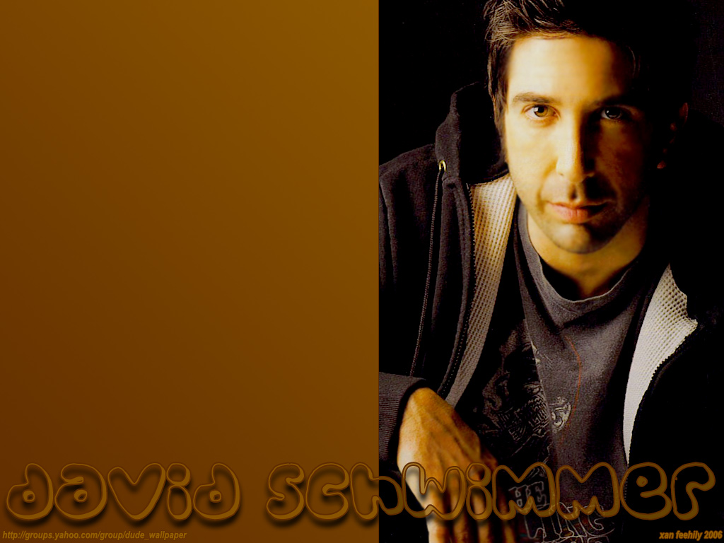 David schwimmer 2