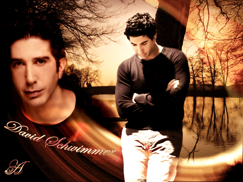 david schwimmer depiction