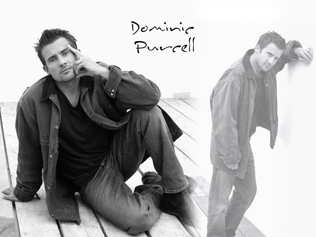 Dominic purcell 1