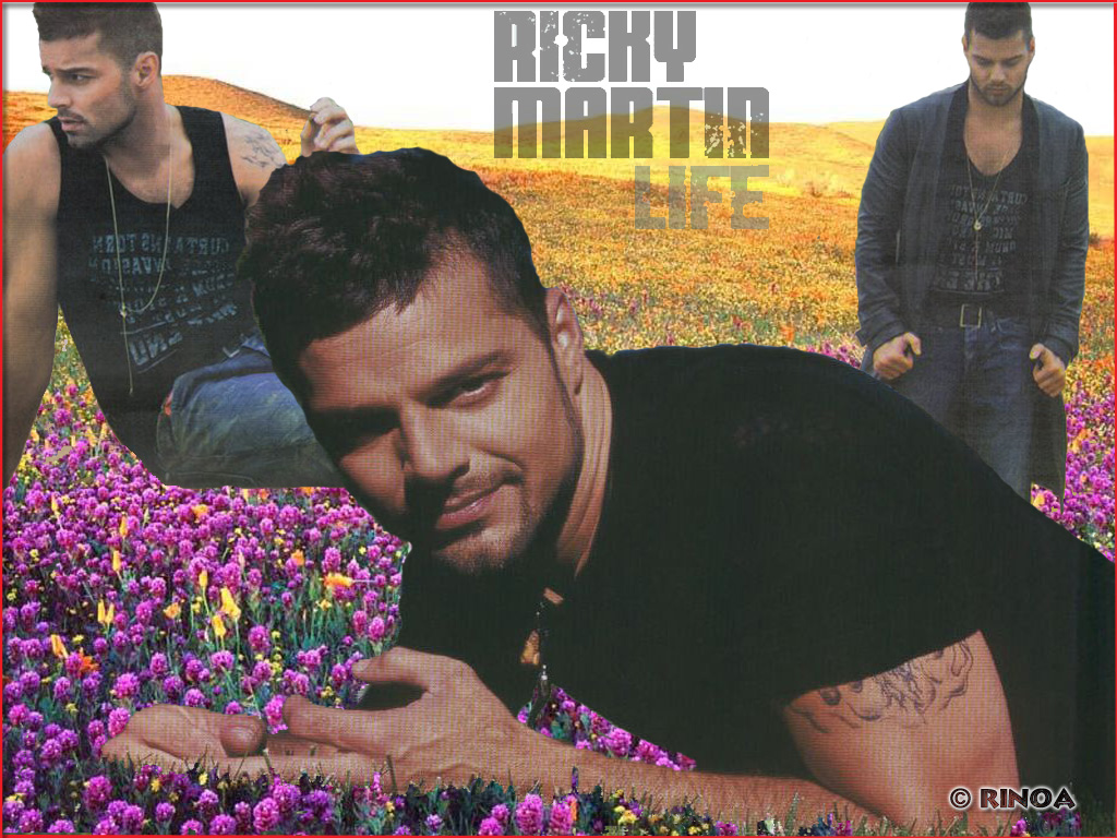 Ricky martin 21