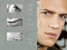 Wentworth miller 6