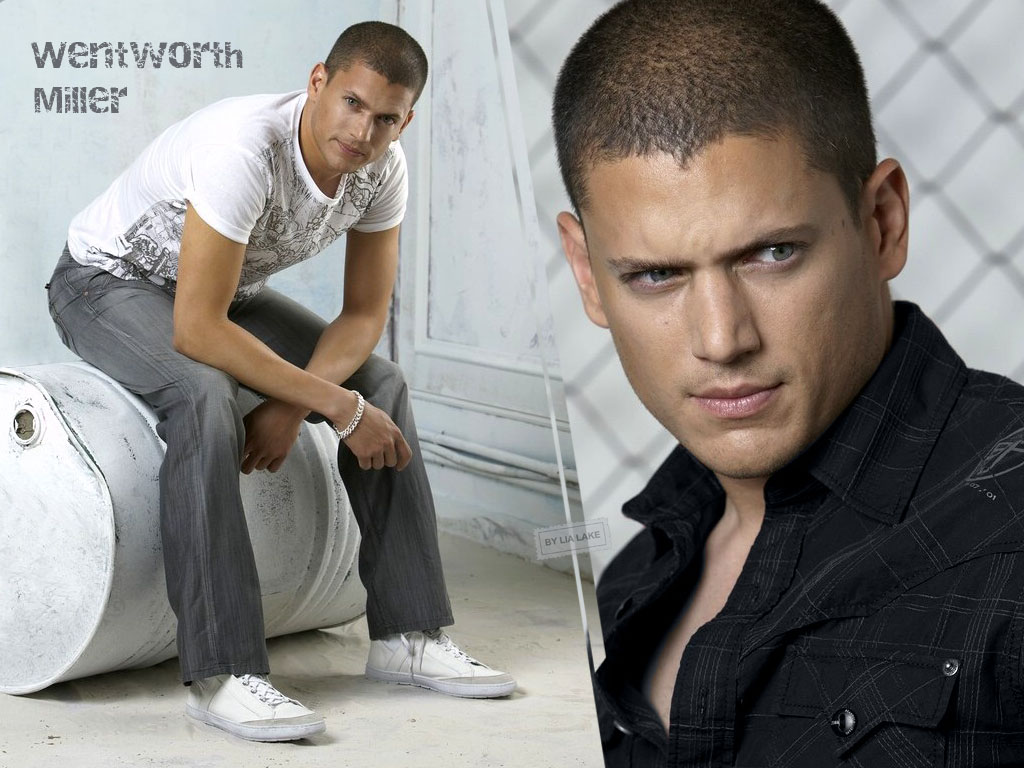 download wentworth miller wallpaper, 