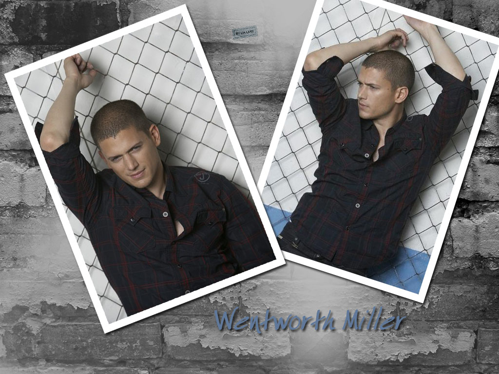 download wentworth miller wallpaper, 