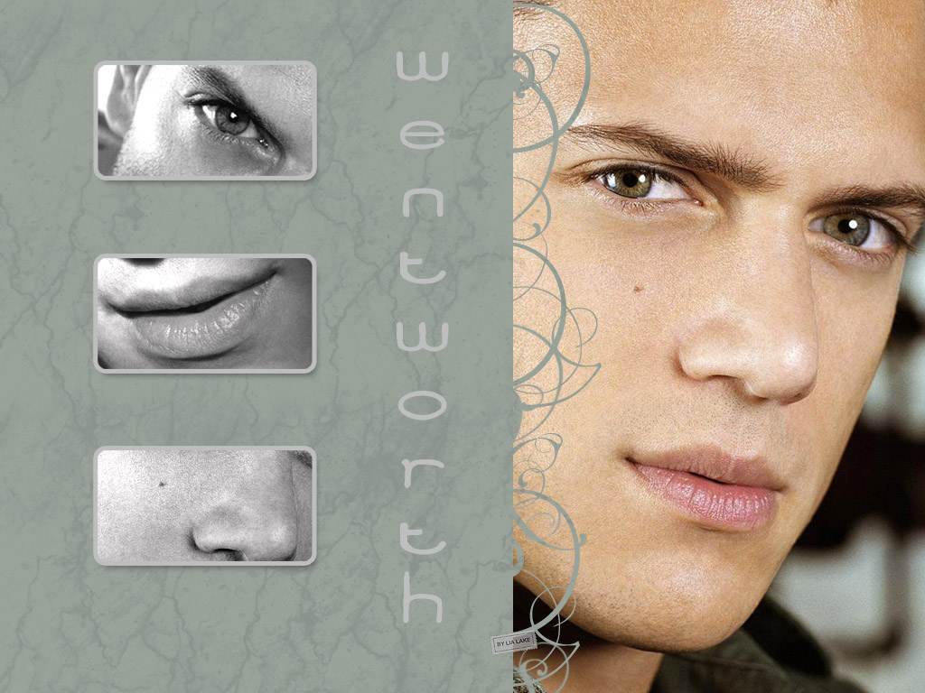 Wentworth miller 6
