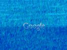 Google 1