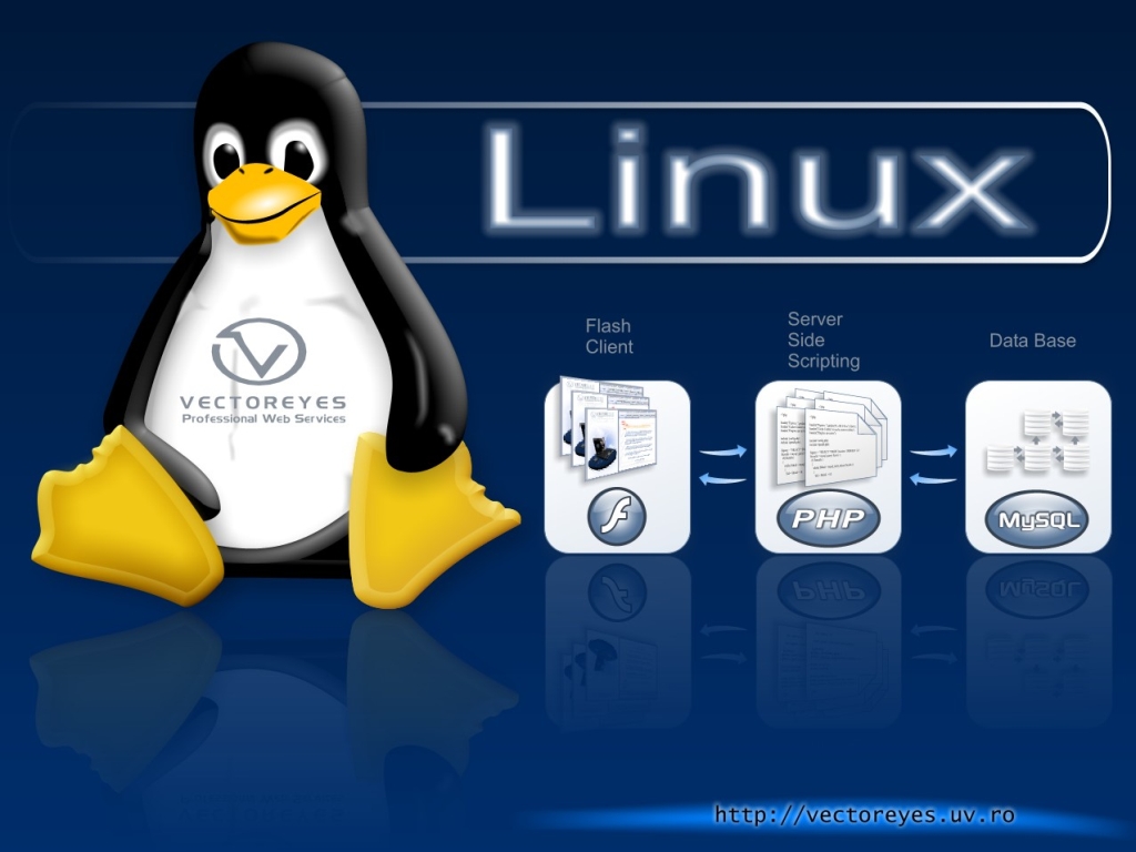 Linux 10