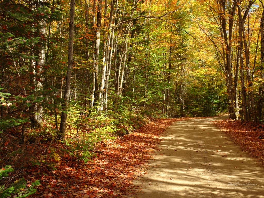 Autumn scene wallpaper 9 Autumn scene wallpaper 9