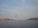 Beach and sea 118
