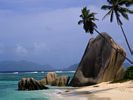 Beach and sea 9