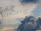 Clouds 86