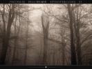 Forest 57