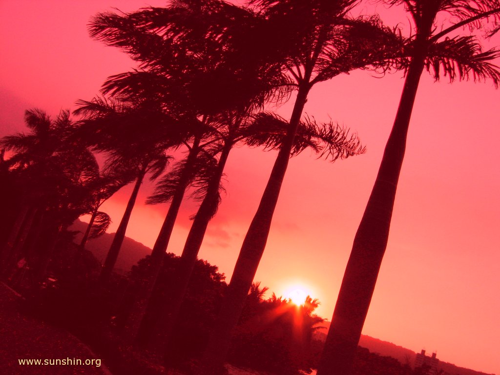 Sunset 83