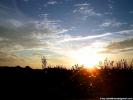 Sunset 137