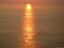 Sunset 212