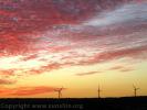 Sunset 223