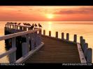 Sunset 306