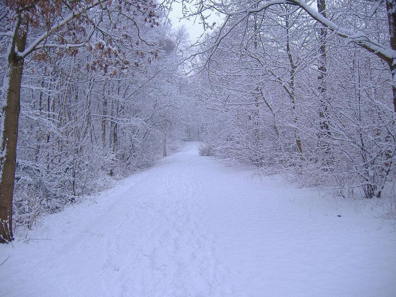 Winter scene 27