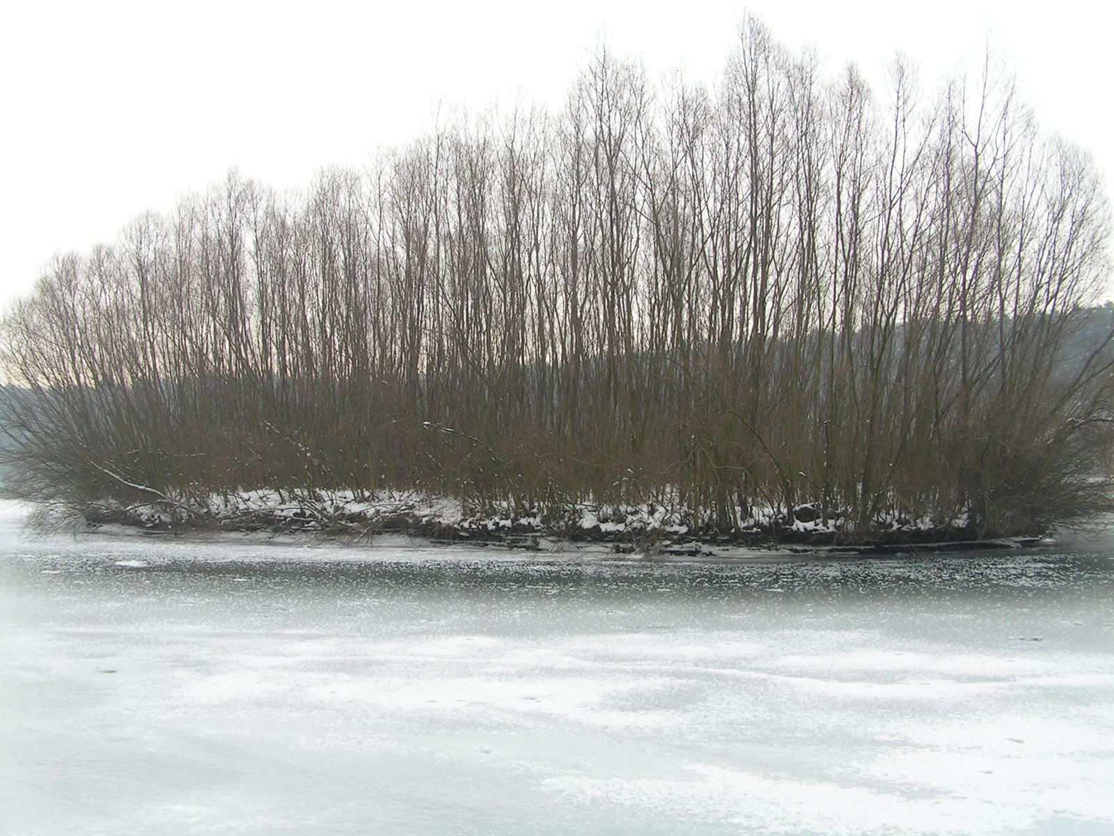Winter scene 3