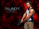Blade trinity 9