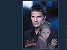 Buffy 8
