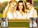 Charmed 11