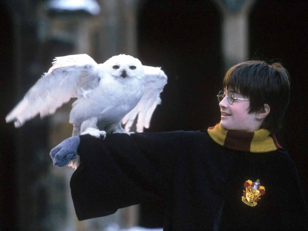 Harry potter 20