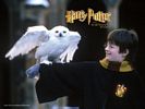 Harry potter 21