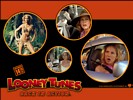Looney tunes back in action 10