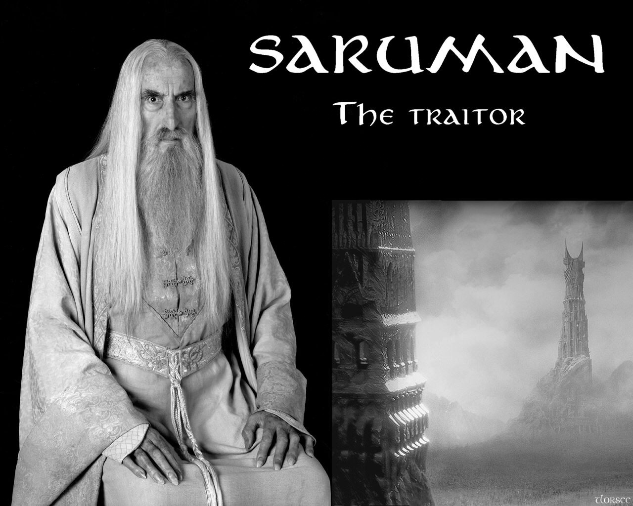 Lord of the rings 24