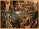 Lord of the rings 47