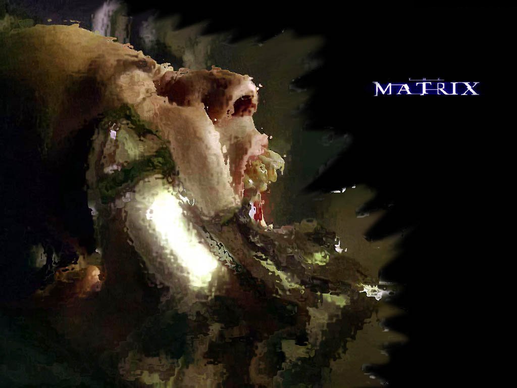 Matrix 10