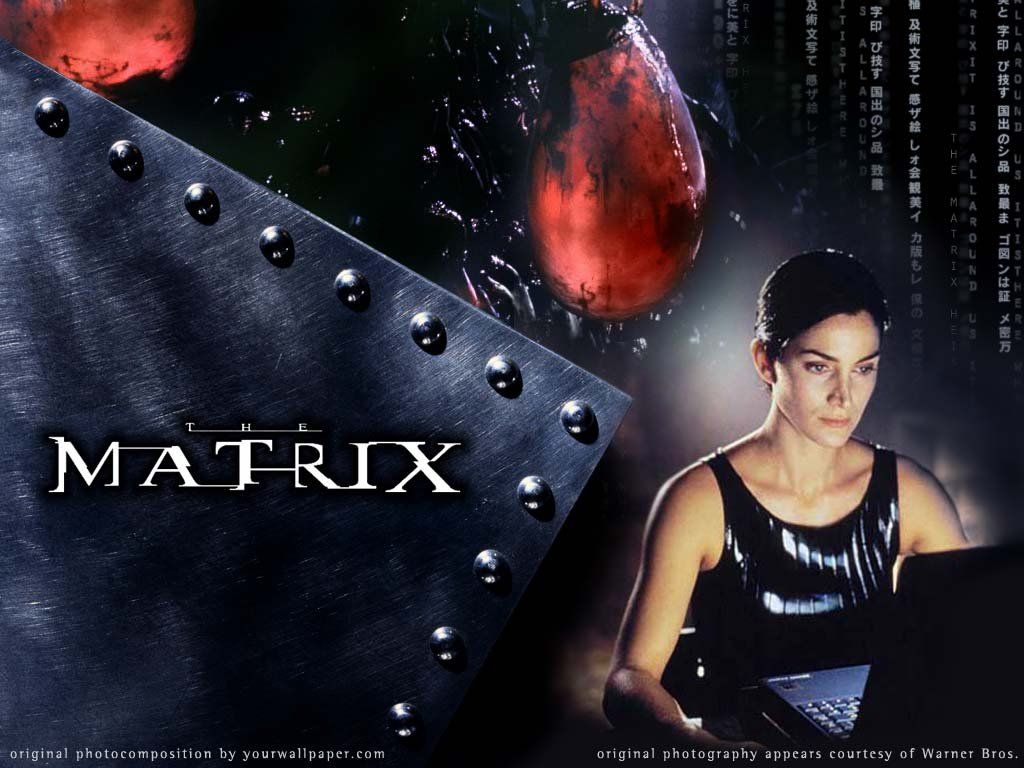 Matrix 14