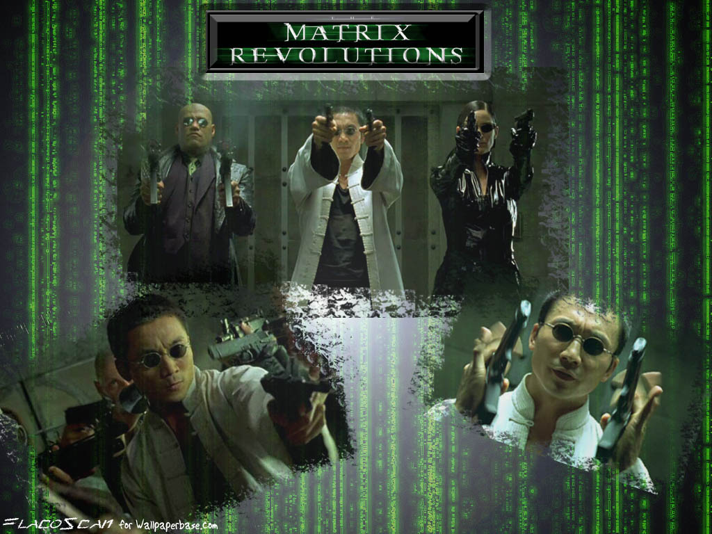 Matrix 29