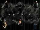 Matrix 11