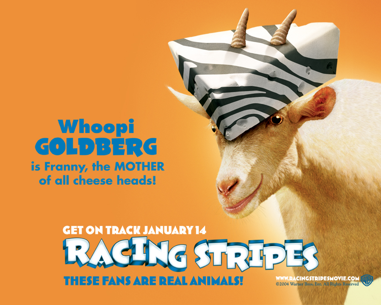 Racing stripes 3