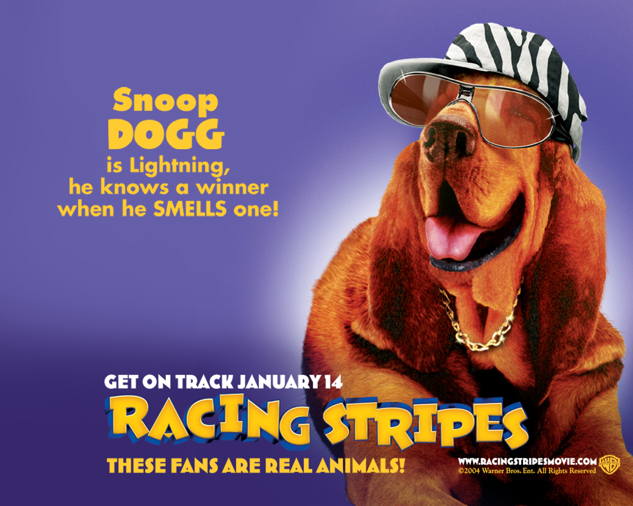 Racing stripes 7