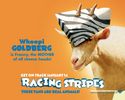 Racing stripes 3