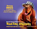 Racing stripes 7