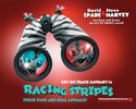 Racing stripes 8