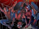 Spiderman 10