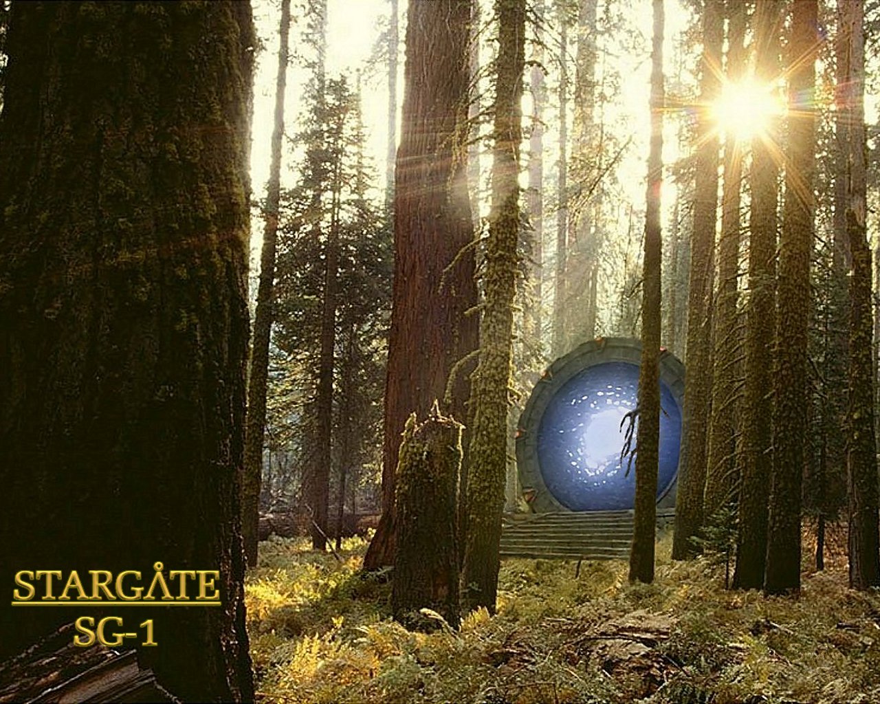 Stargate 24