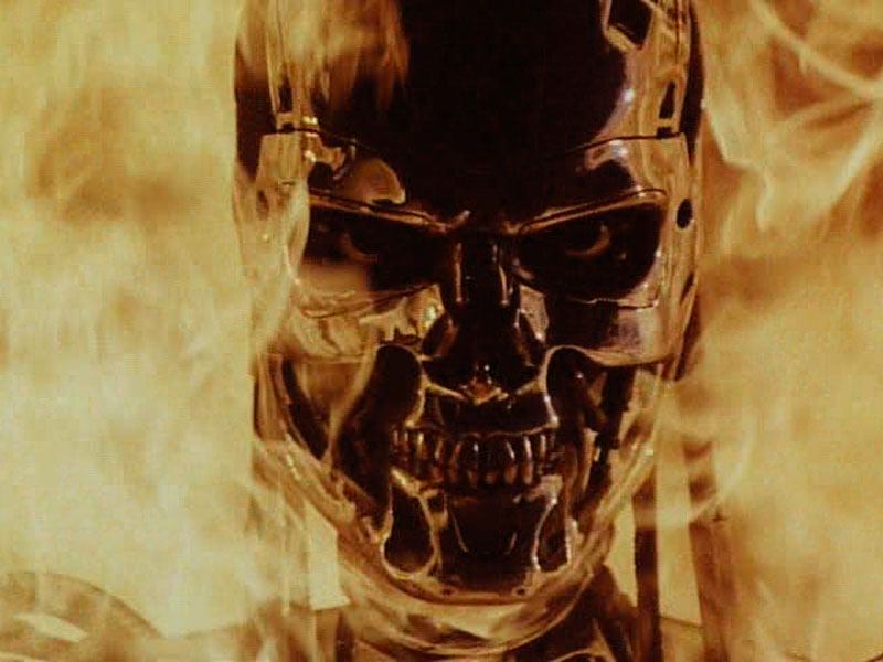 Terminator 5