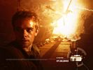 Terminator 19