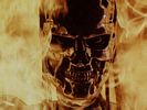 Terminator 5